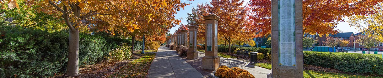 Michigan State University campus